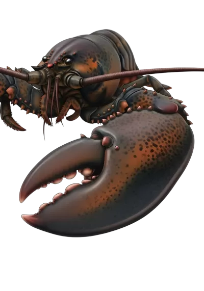 Imagen PNG para descargar